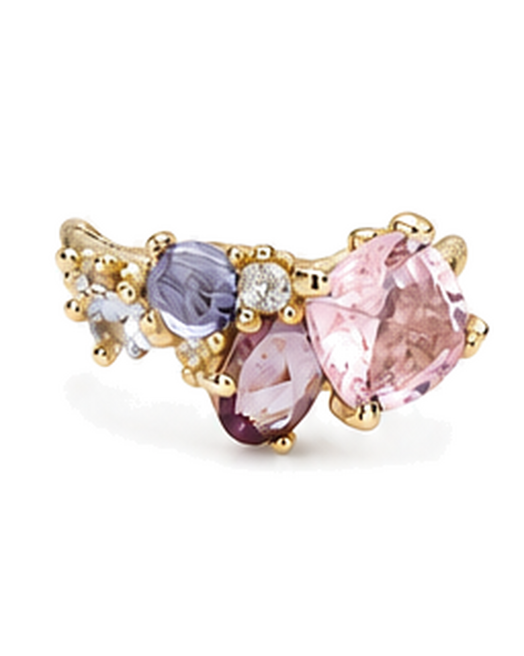 Personalización de Anillos de Familia