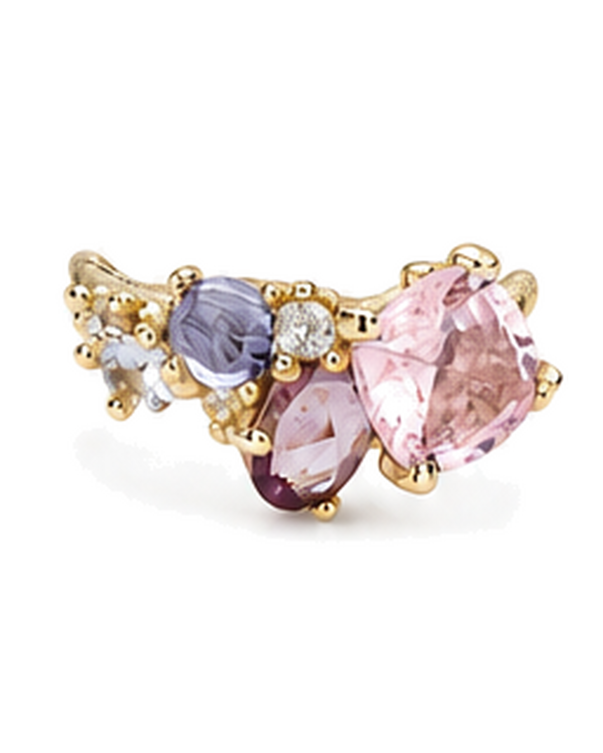 Personalización de Anillos de Familia